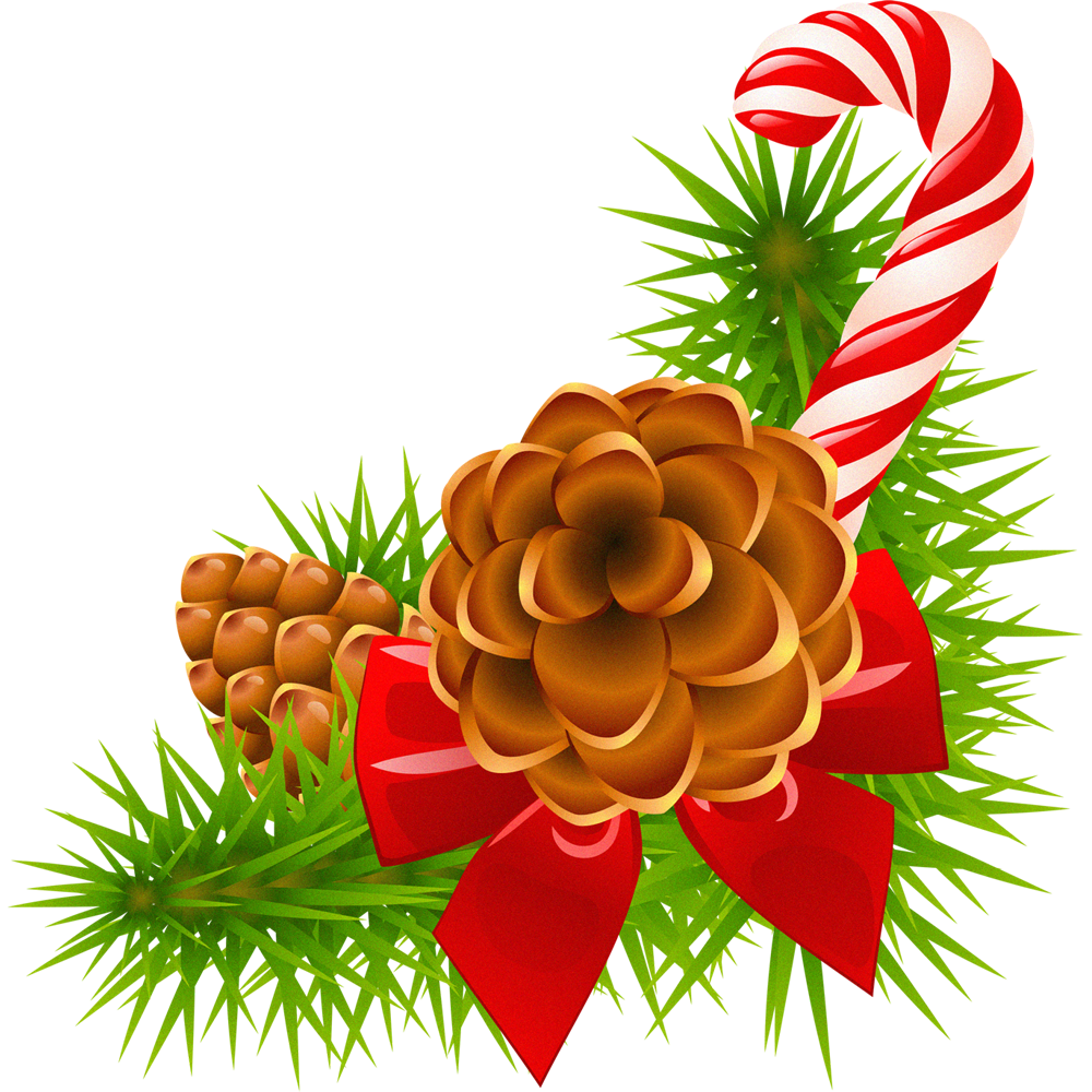 Christmas Pine Cone Transparent Picture