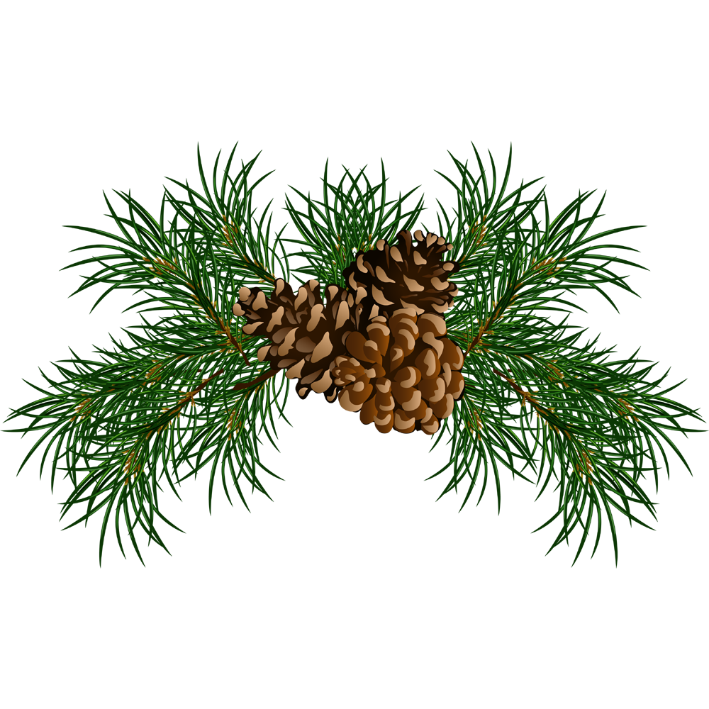 Christmas Pine Cone  Transparent Clipart