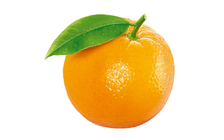 Clementine PNG