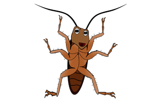 Cockroach Cartoon PNG