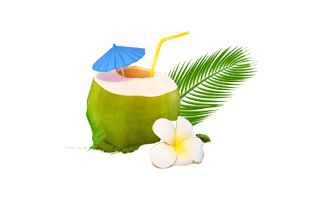 Coconut Water PNG