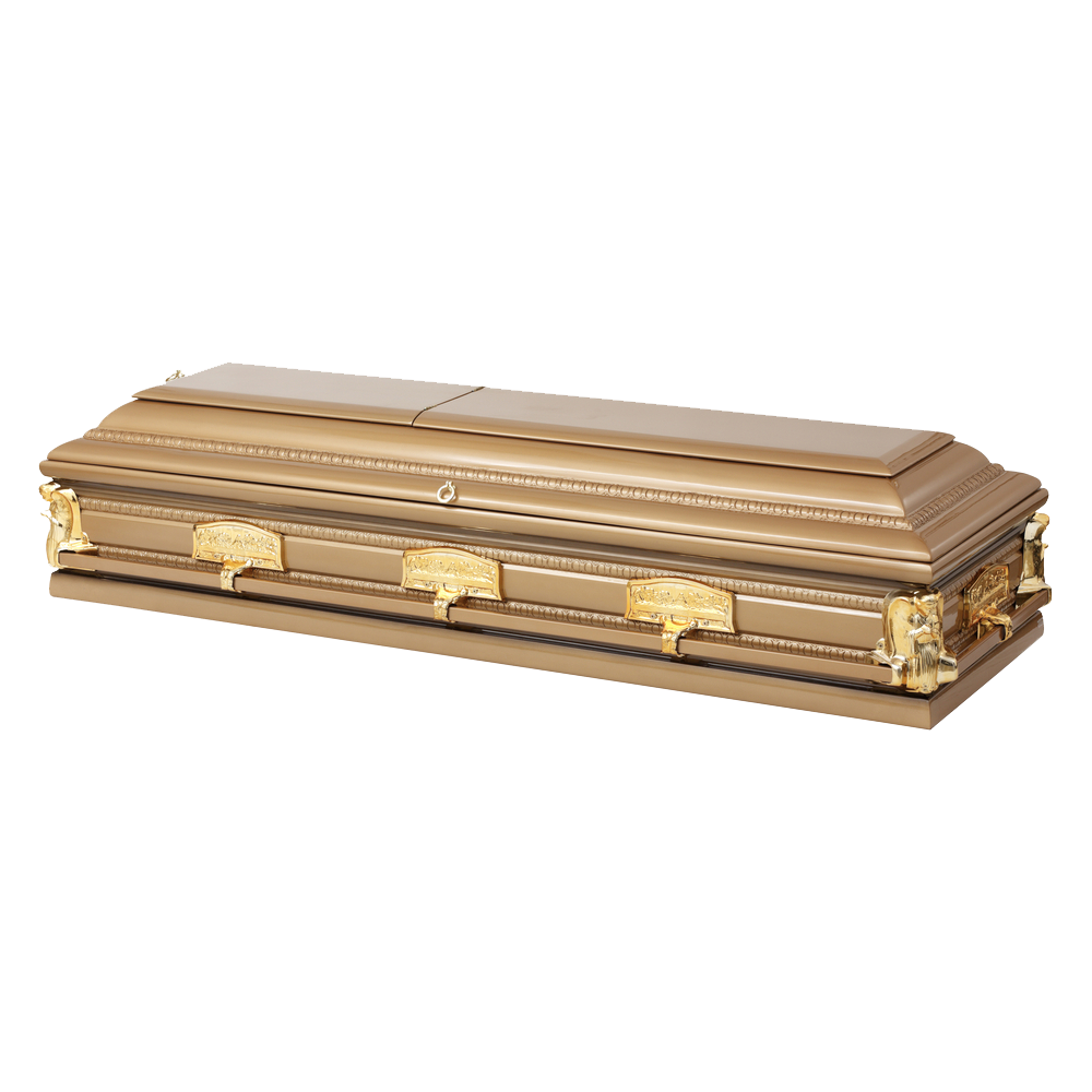Coffin  Transparent Picture