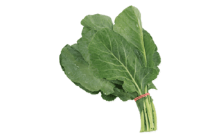 Collard Green PNG