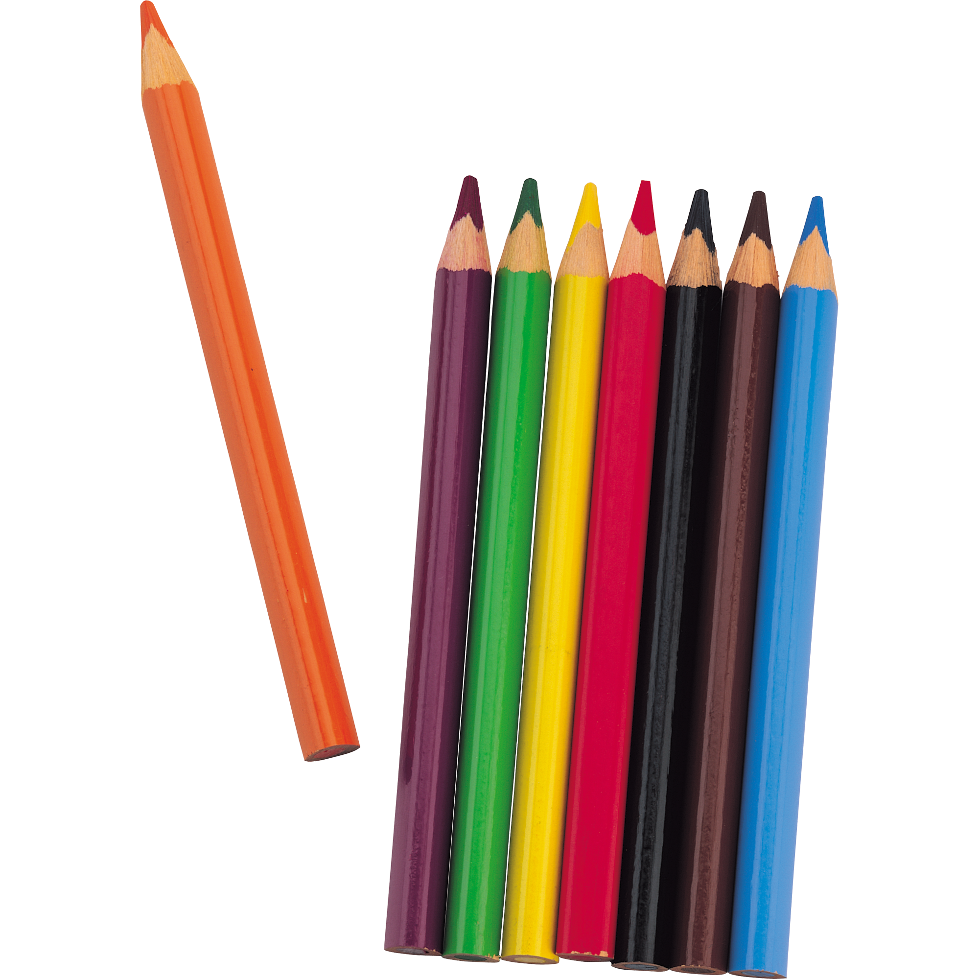 Color Pencil  Transparent Gallery