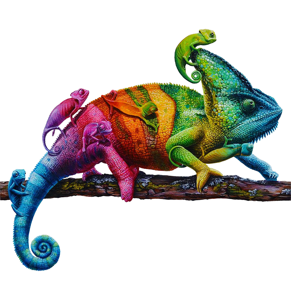 Colorful Chameleon Transparent Photo