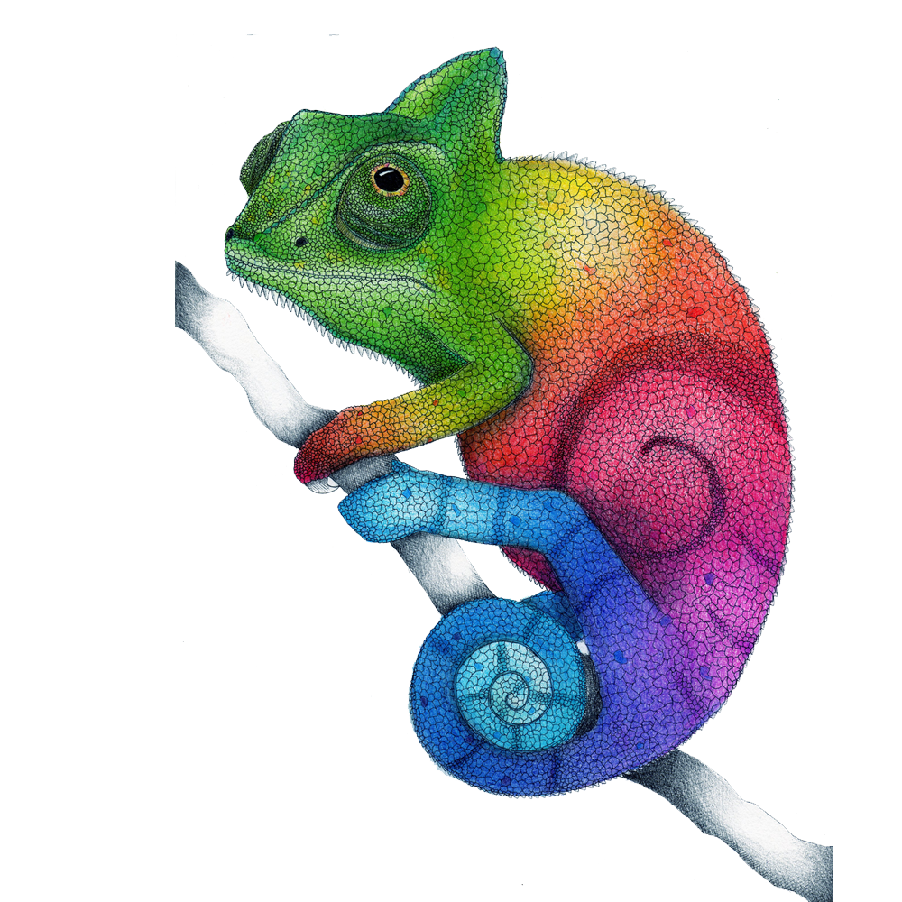 Colorful Chameleon Transparent Clipart