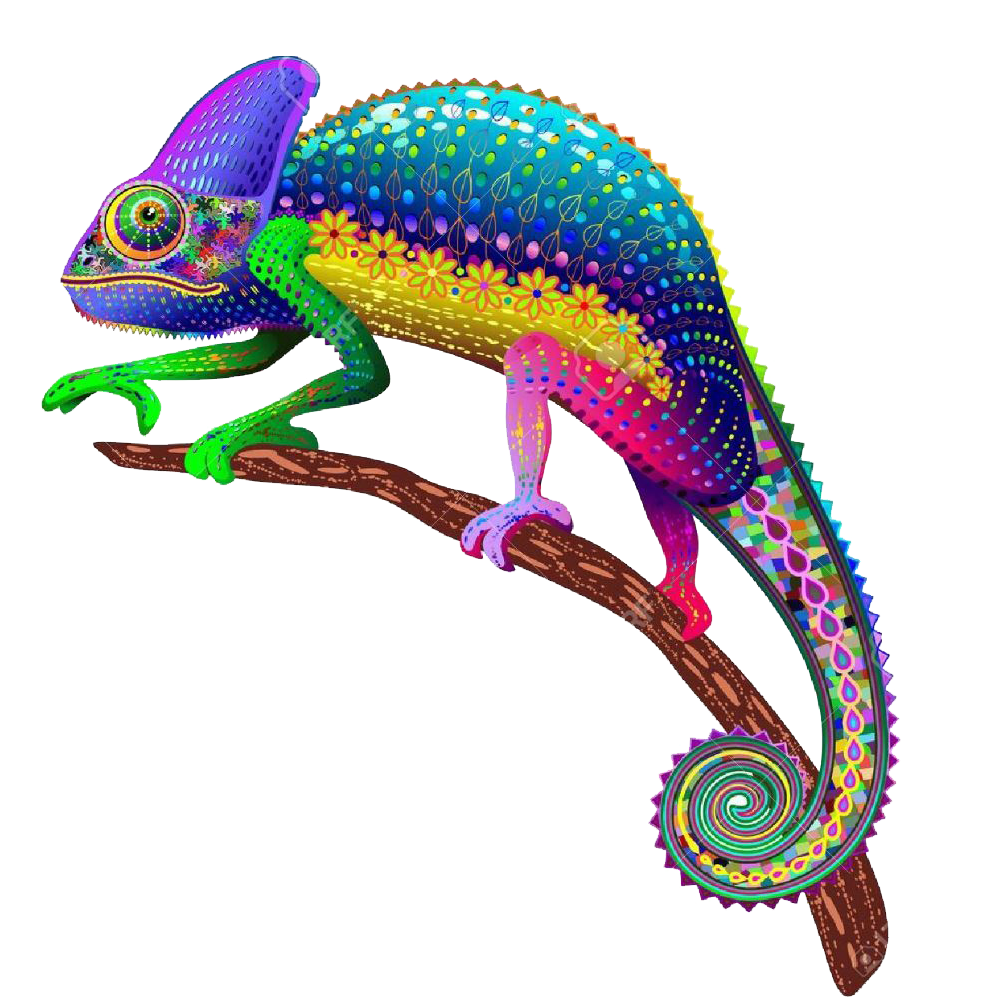 Colorful Chameleon Transparent Gallery