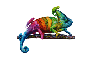 Colorful Chameleon PNG