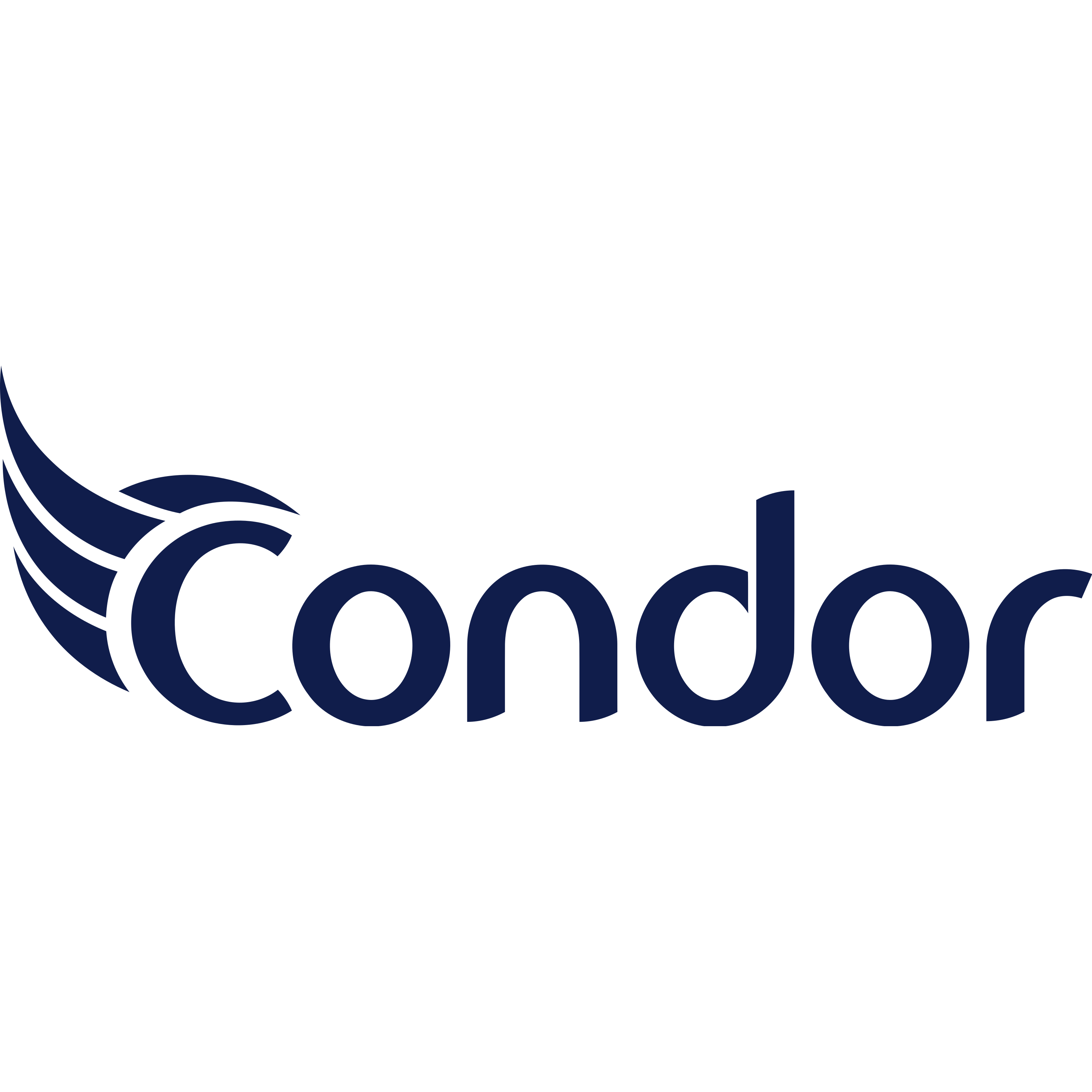 Condor Electronics Logo  Transparent Image