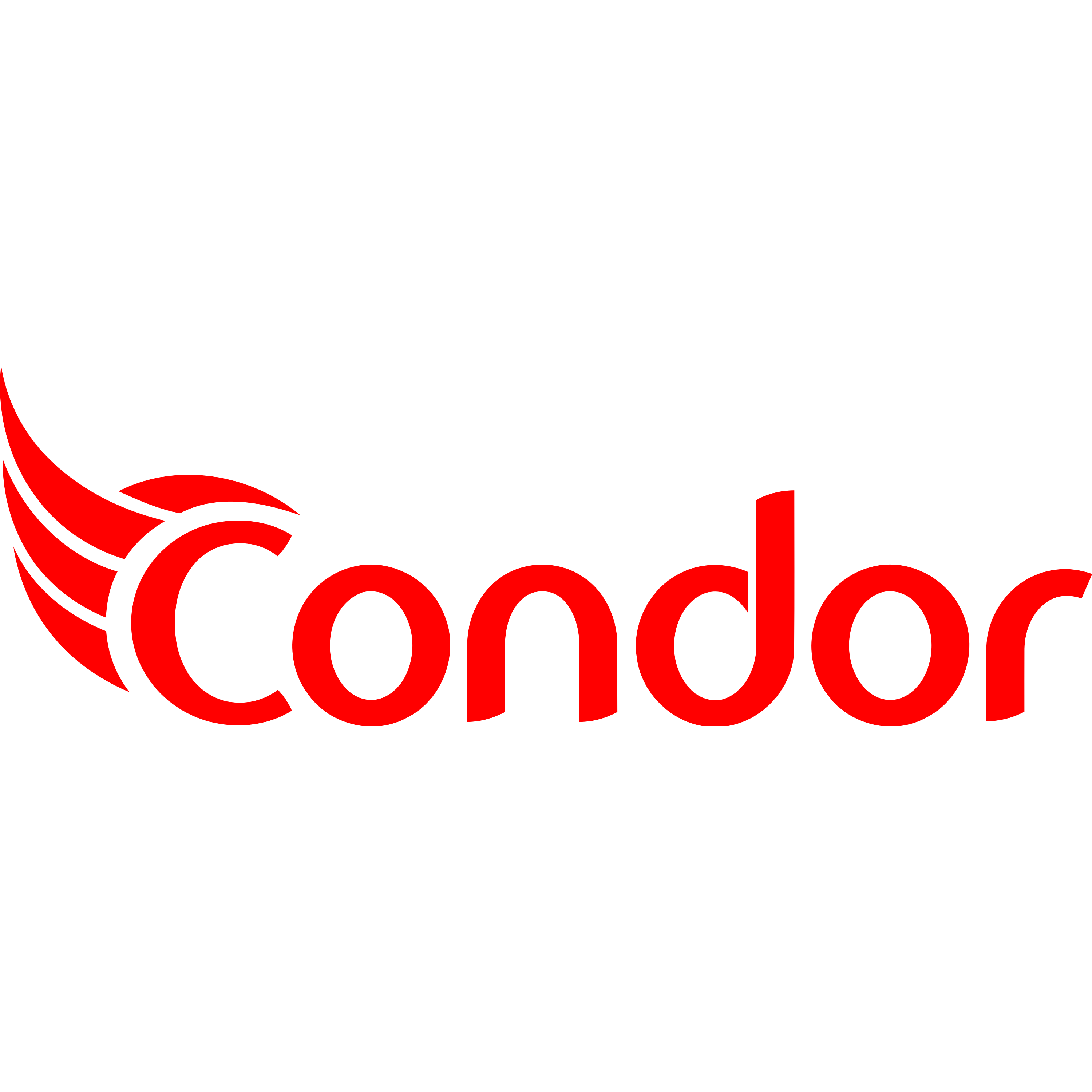 Condor Electronics Logo  Transparent Photo