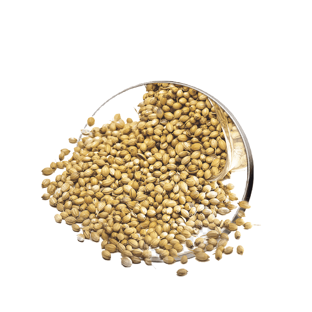 Coriander Seed Transparent Picture