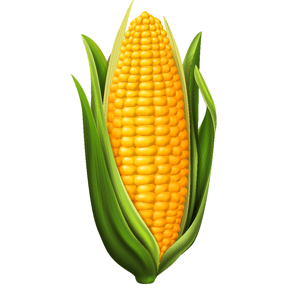Corn Transparent Clipart