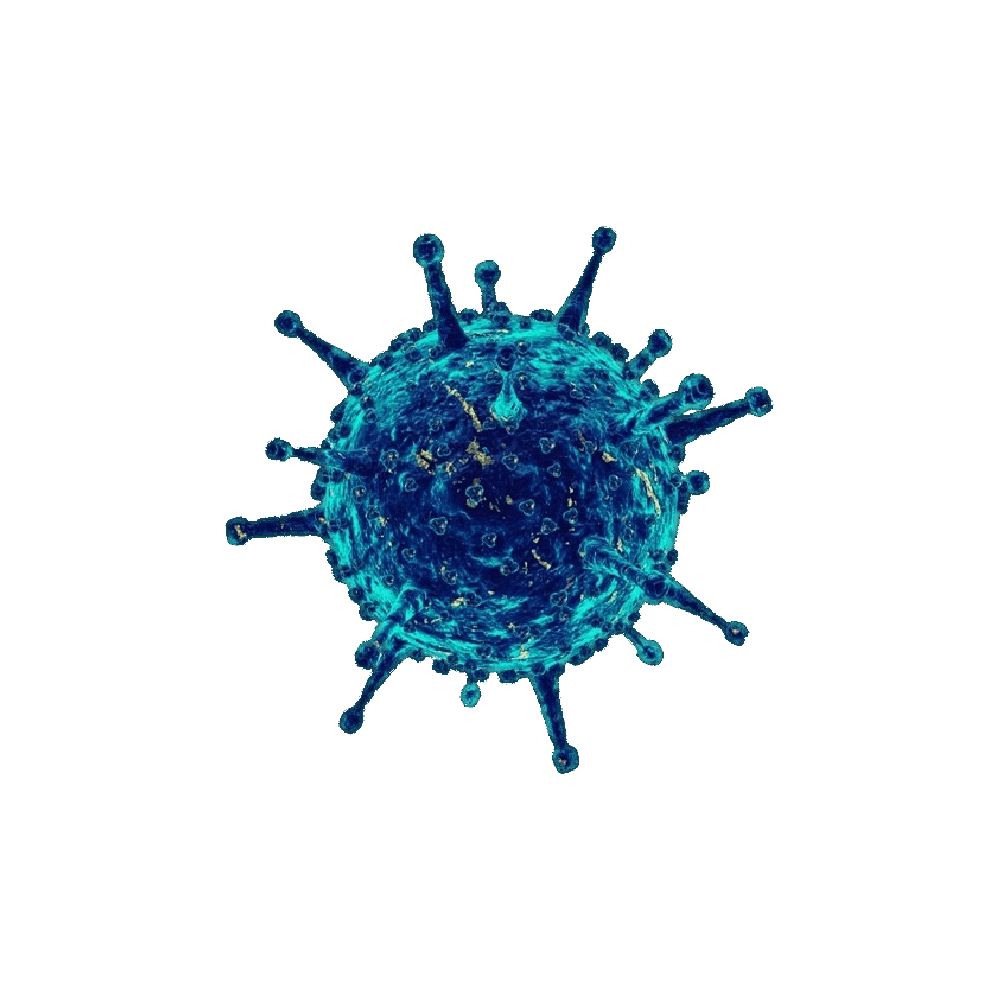 Coronavirus Transparent Image