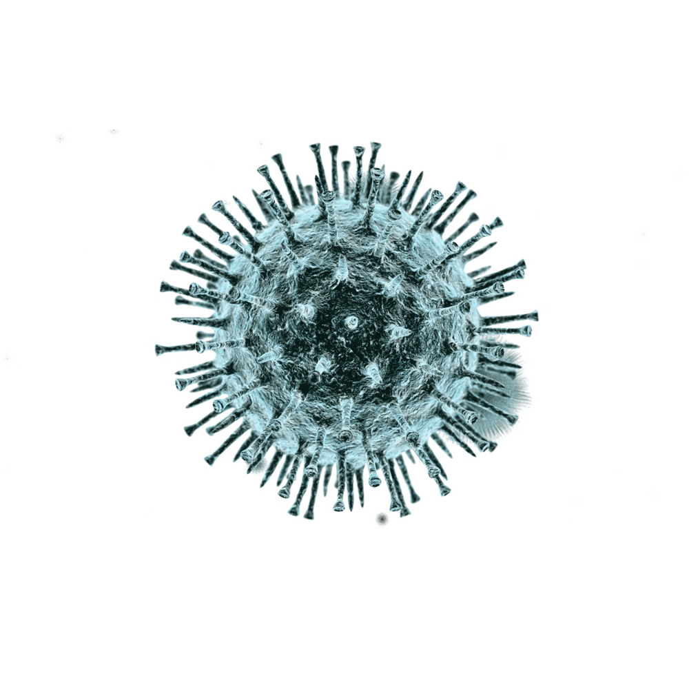 Coronavirus Transparent Gallery