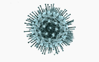 Coronavirus PNG