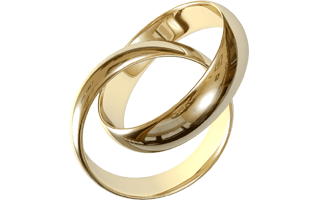 Couple Ring PNG