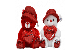 Couple Teddy PNG