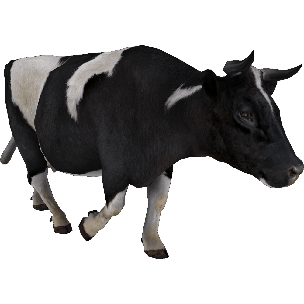 Cow Transparent Photo