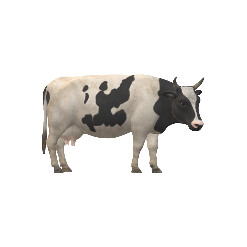 Cow Transparent Picture