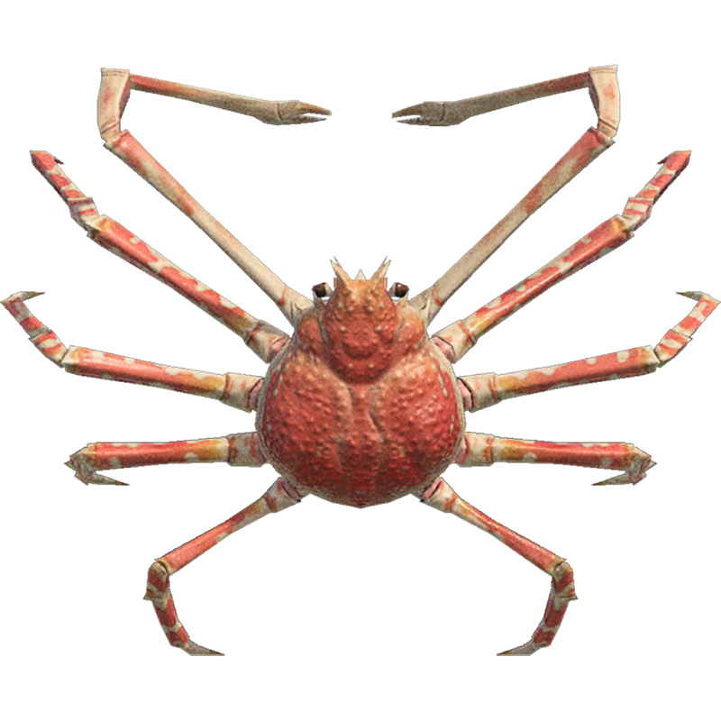 Crab Spider Transparent Gallery