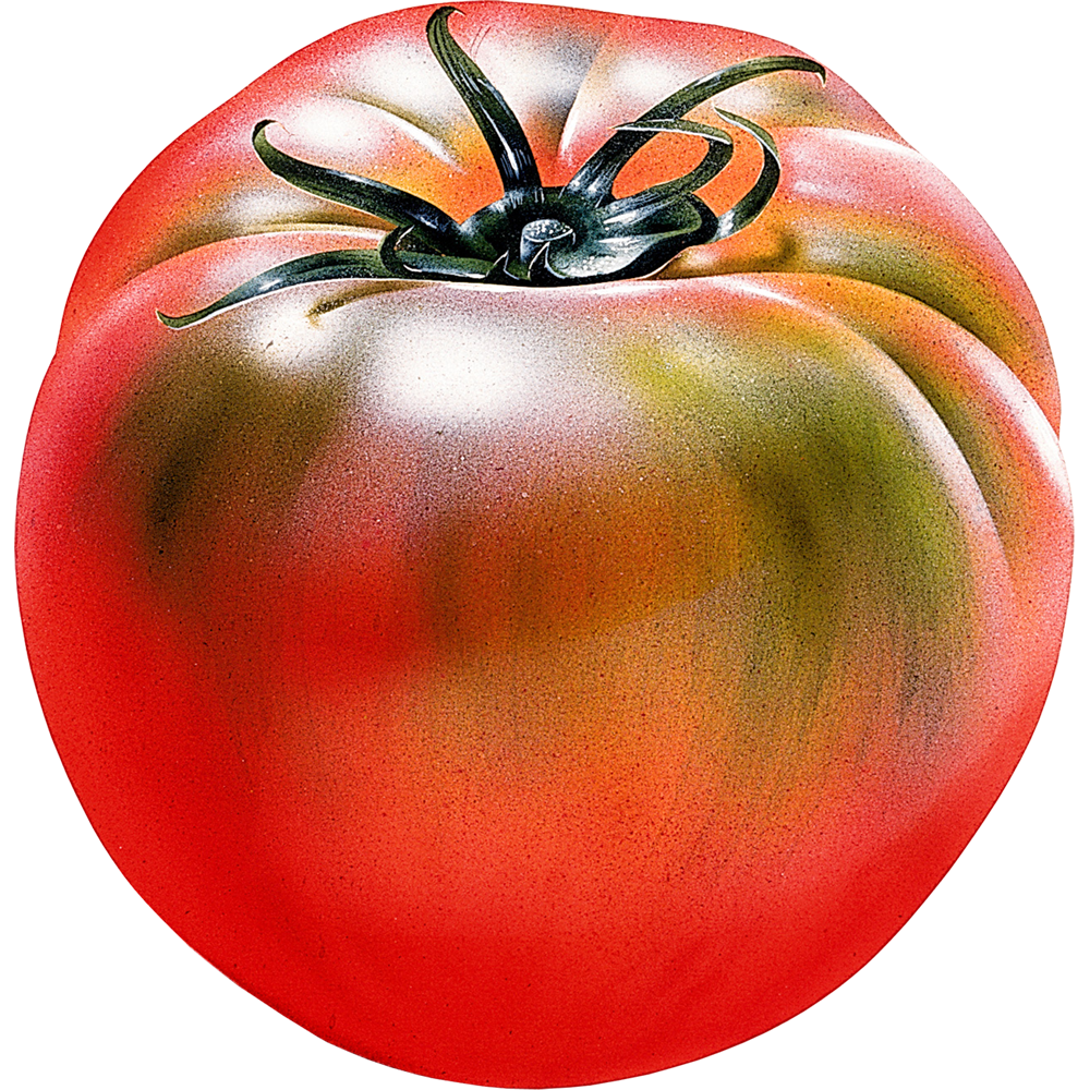 Creole Tomato  Transparent Gallery