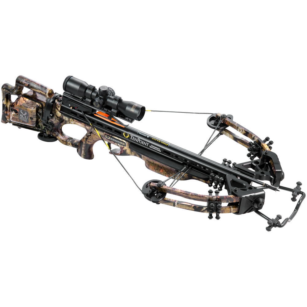 Crossbow Transparent Gallery