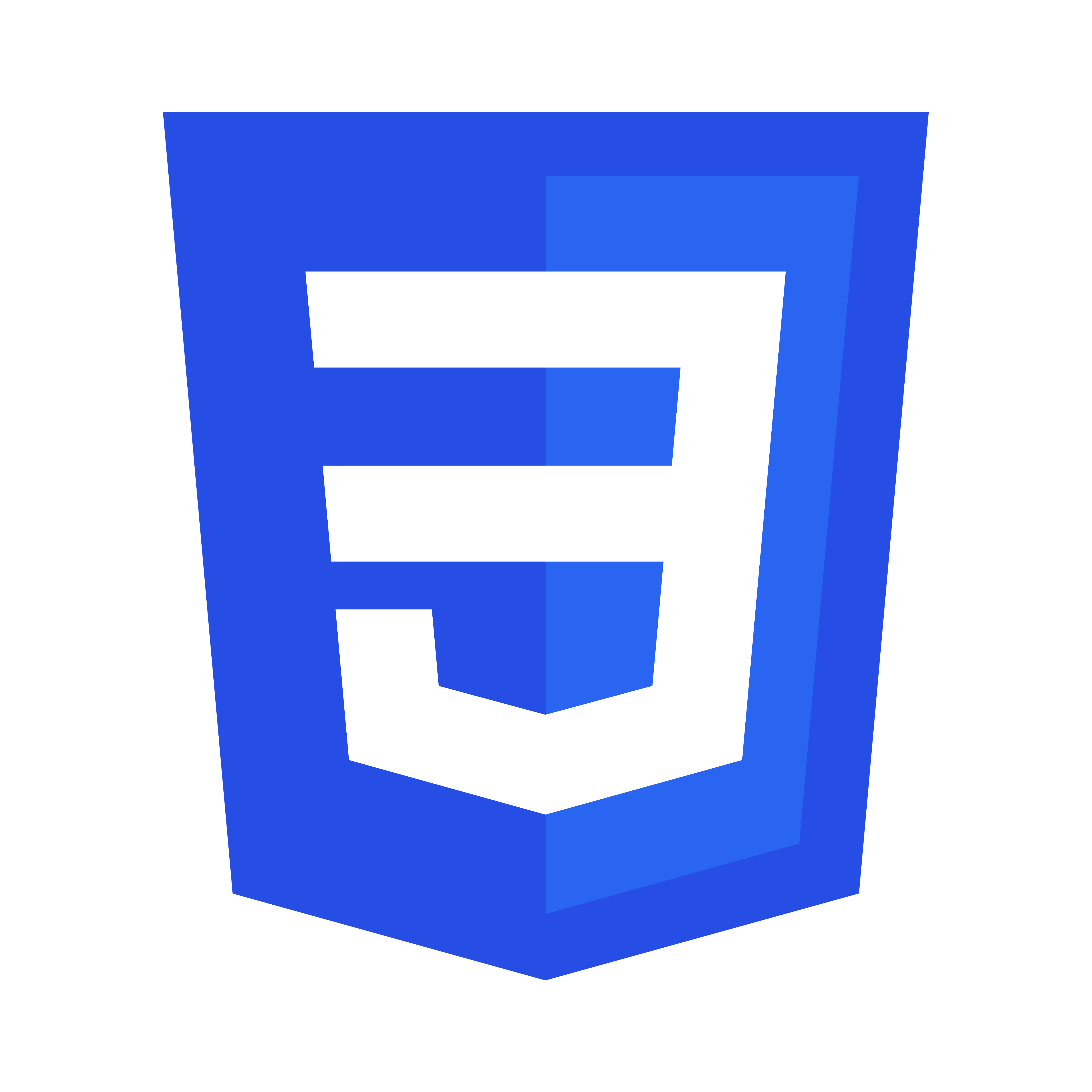 CSS Logo Transparent Picture