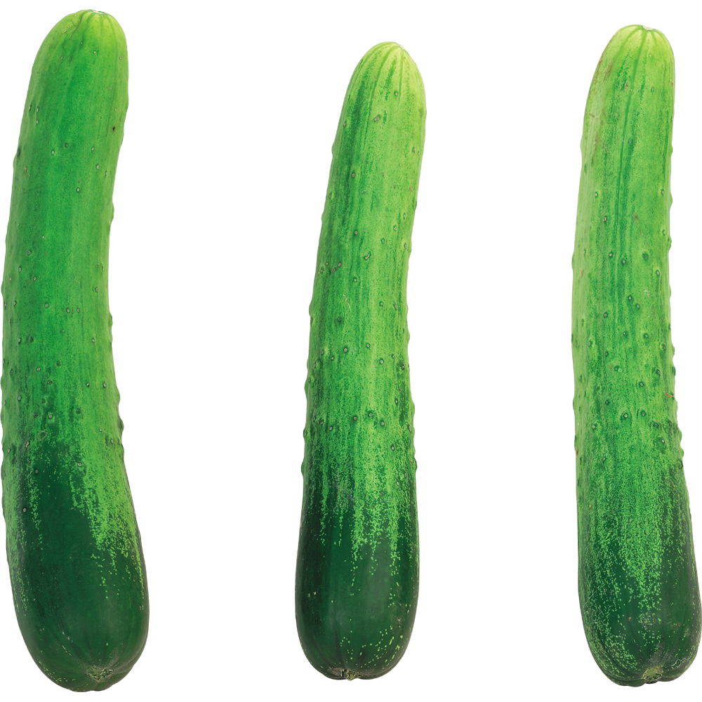 Cucumber  Transparent Image