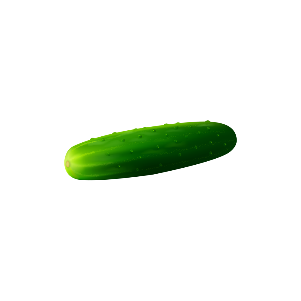 Cucumber  Transparent Photo