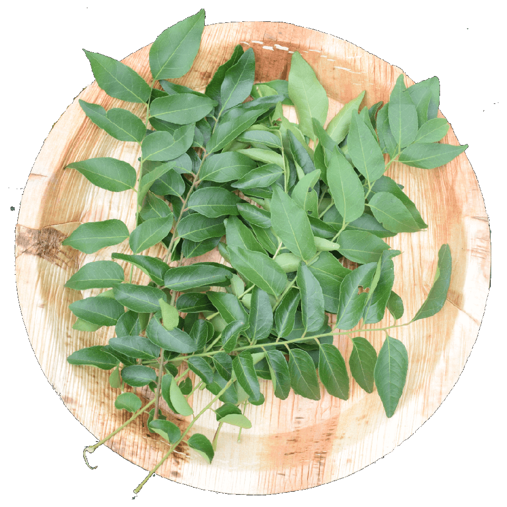 Curry Leaves  Transparent Gallery