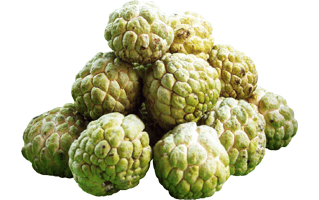 Custard Apple PNG