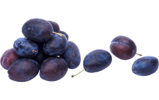 Damson Plum PNG