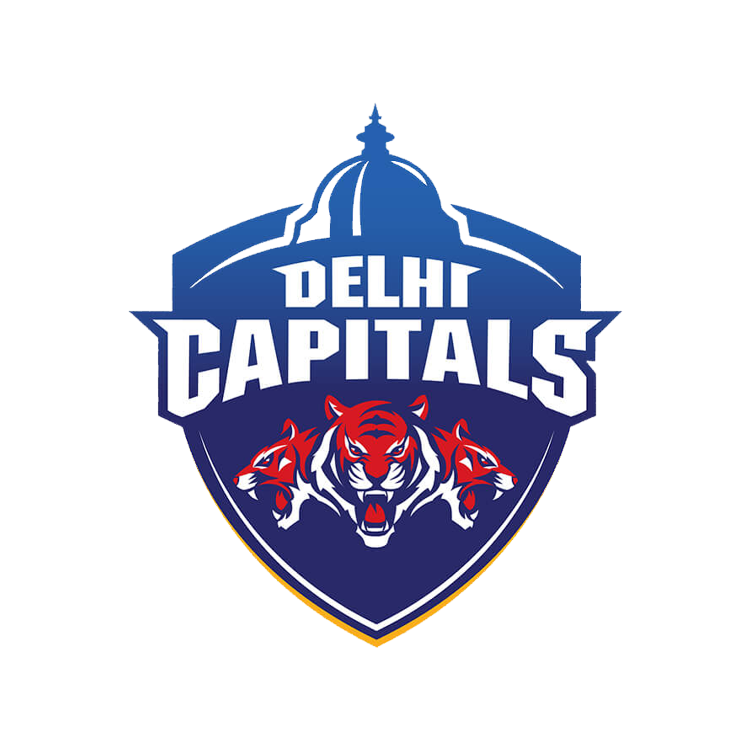 Delhi Capitals Transparent Image