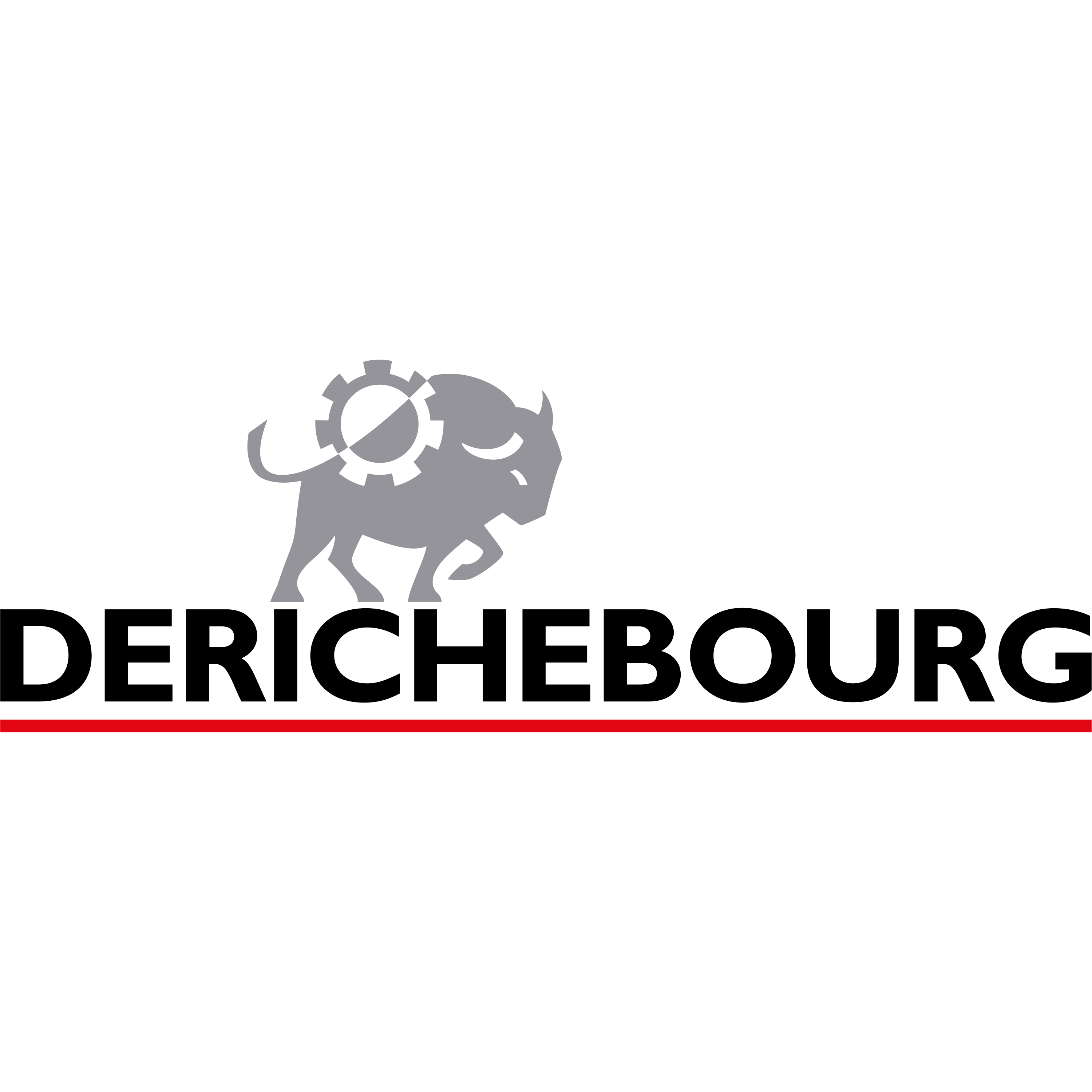 Derichebourg Logo  Transparent Image