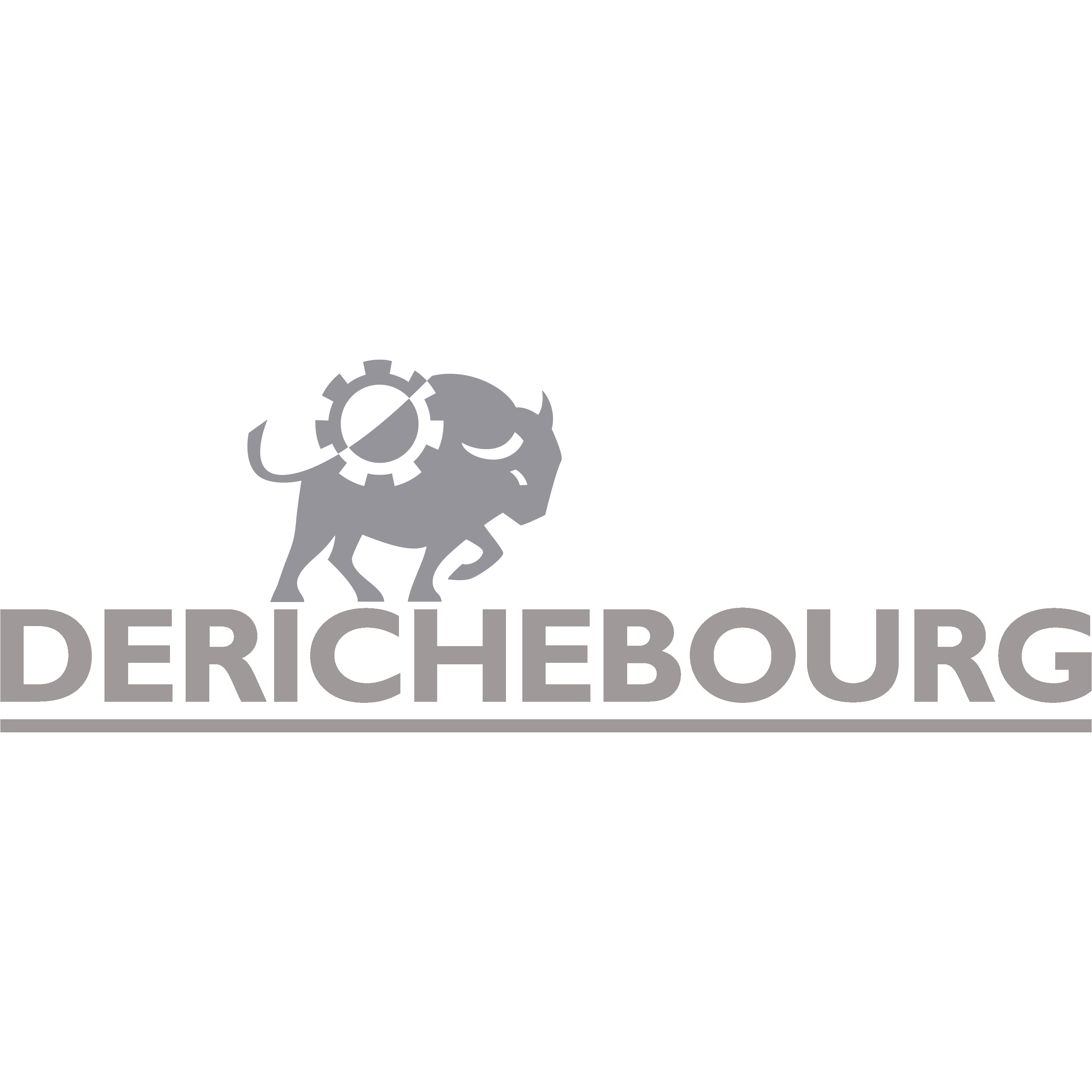 Derichebourg Logo Transparent Picture