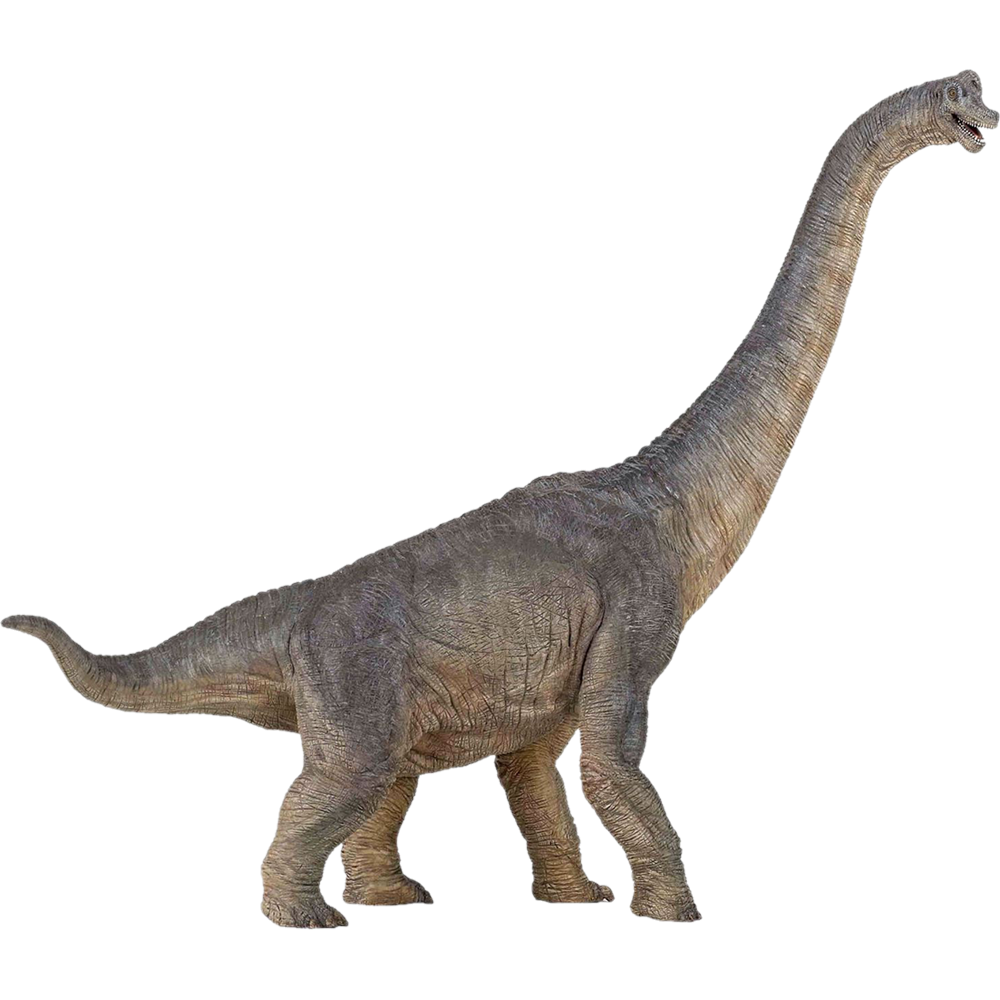 Dinosaur  Transparent Photo