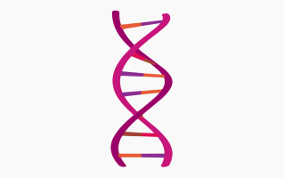 DNA PNG