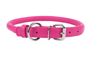 Dog Collar PNG