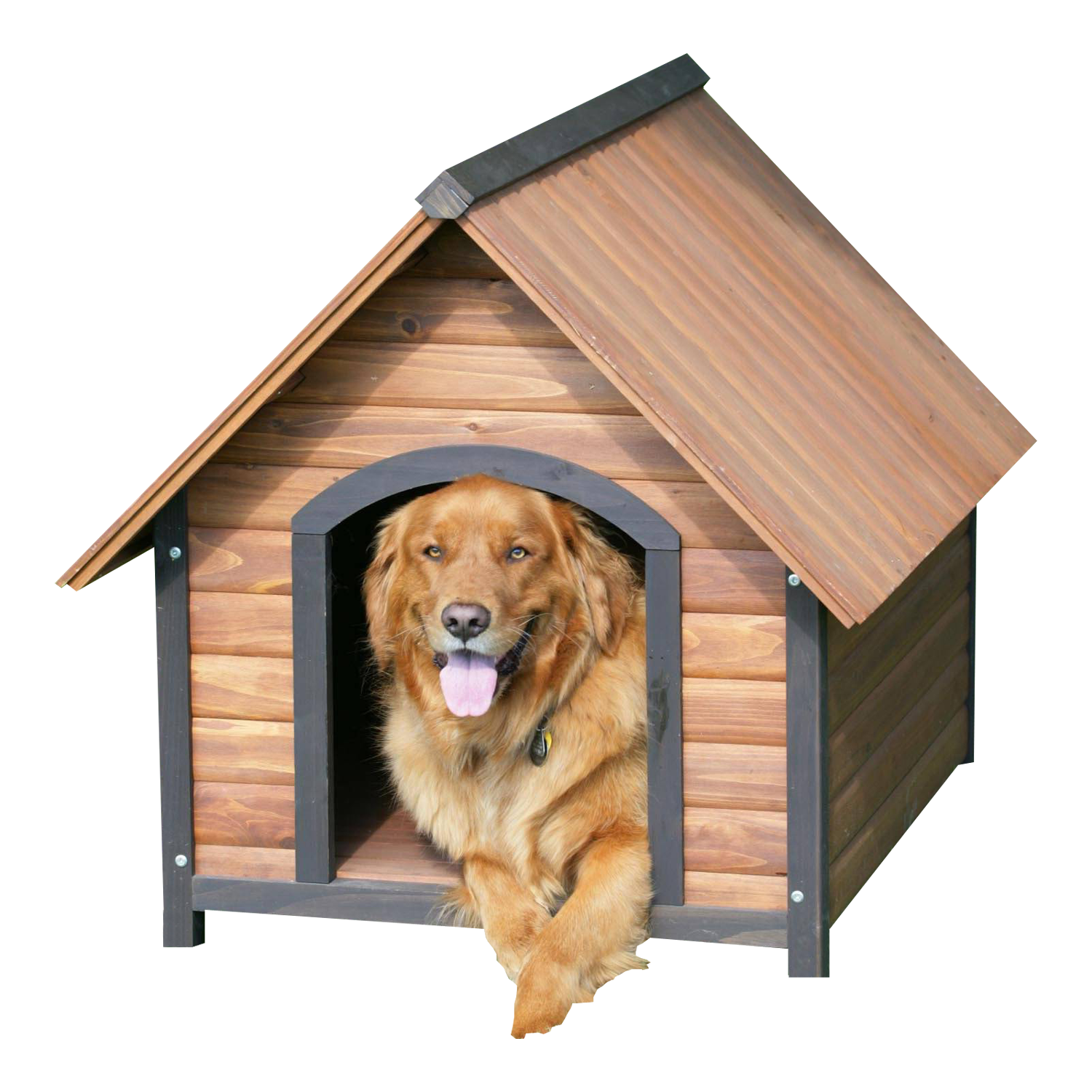 Dog House  Transparent Clipart