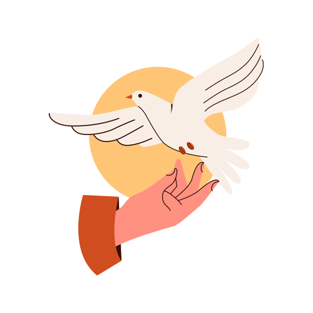 Dove Sticker Transparent Photo