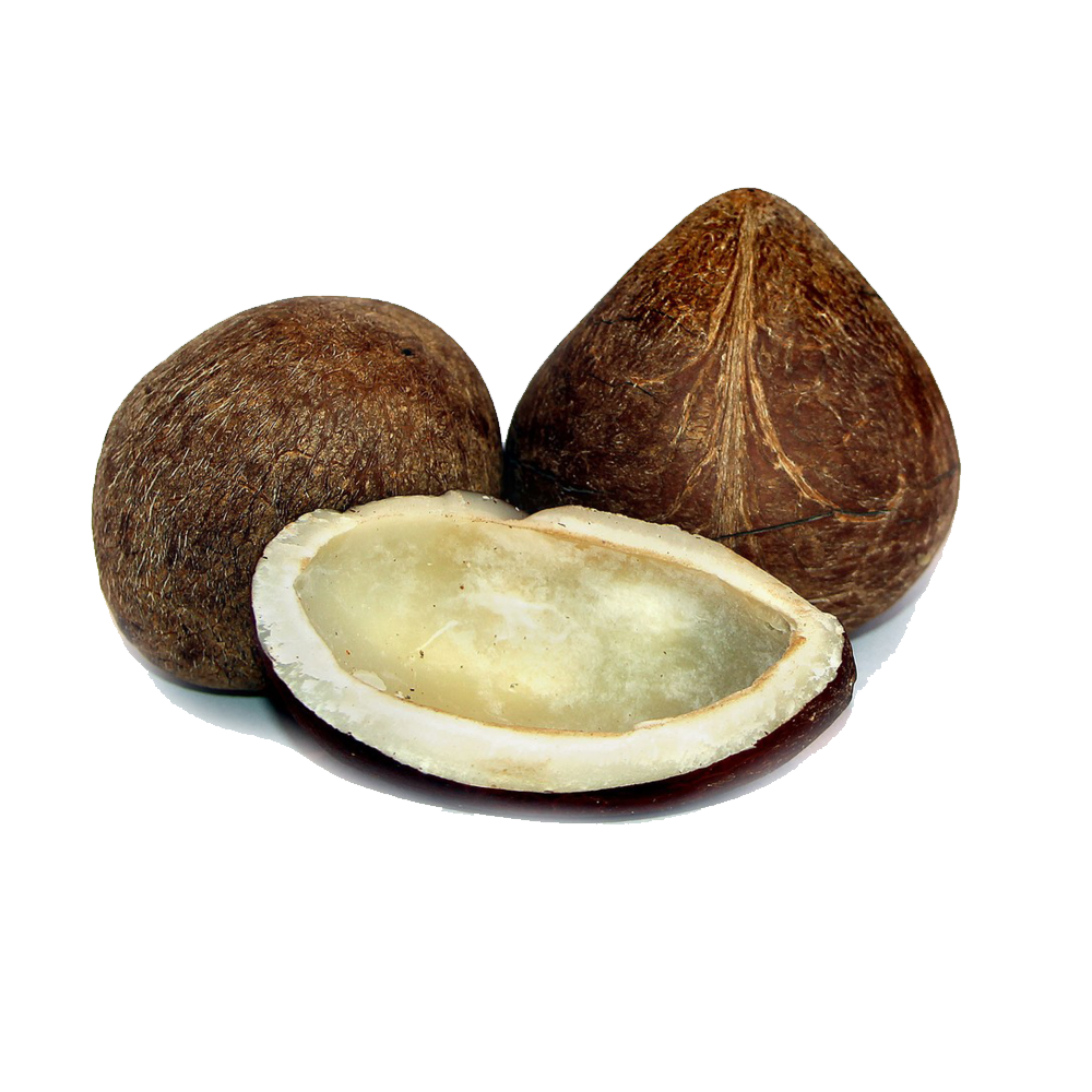 Dry Coconut Transparent Image