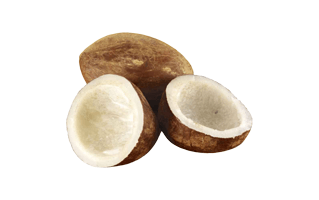 Dry Coconut PNG