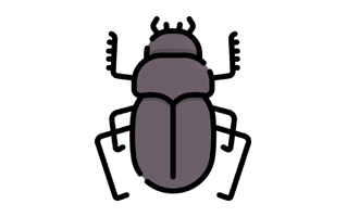 Dung Beetle Free Sticker PNG