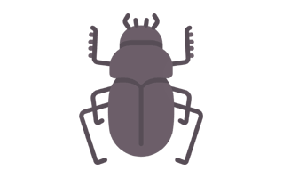 Dung Beetle Sticker PNG