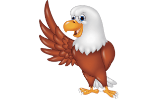 Eagle Cartoon PNG