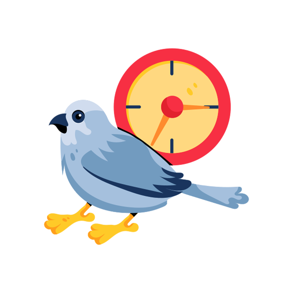 Early Bird Sticker Transparent Photo