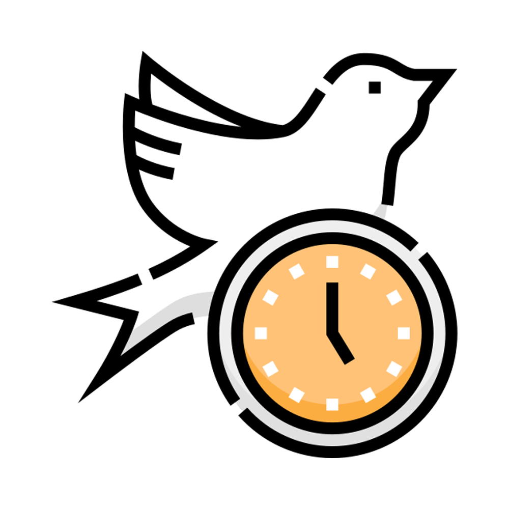 Early Bird Sticker Transparent Picture