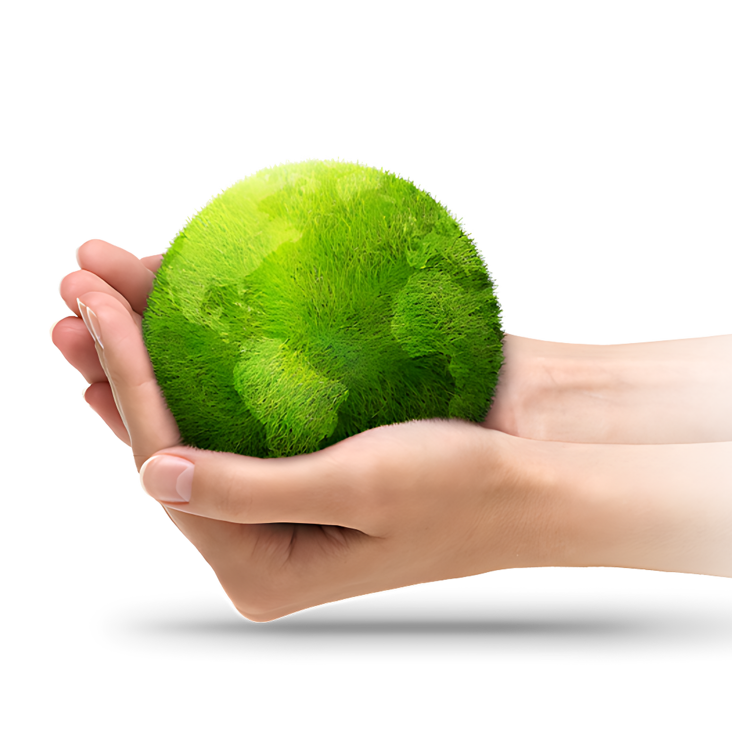 Earth In Hand Transparent Picture