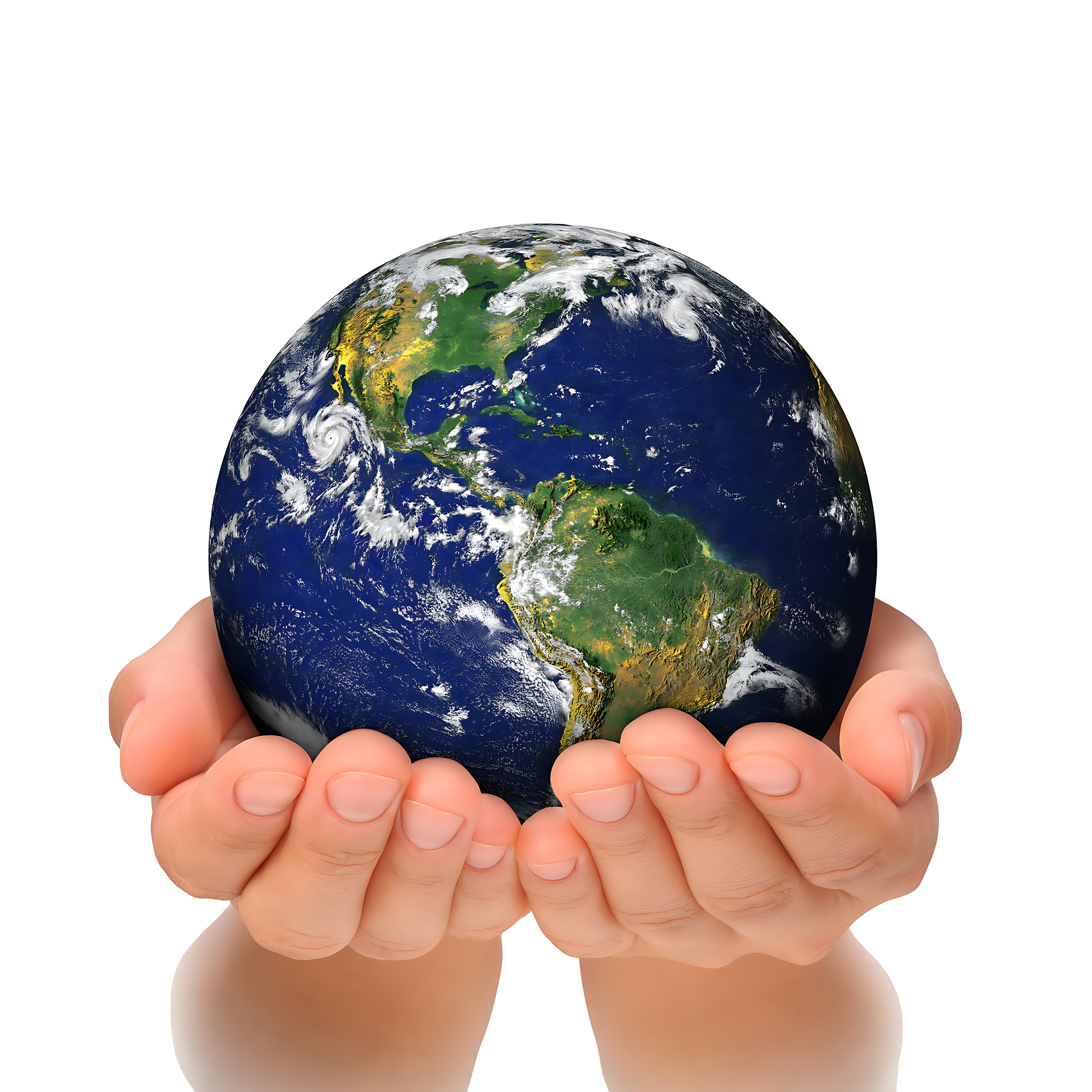 Earth In Hand  Transparent Clipart