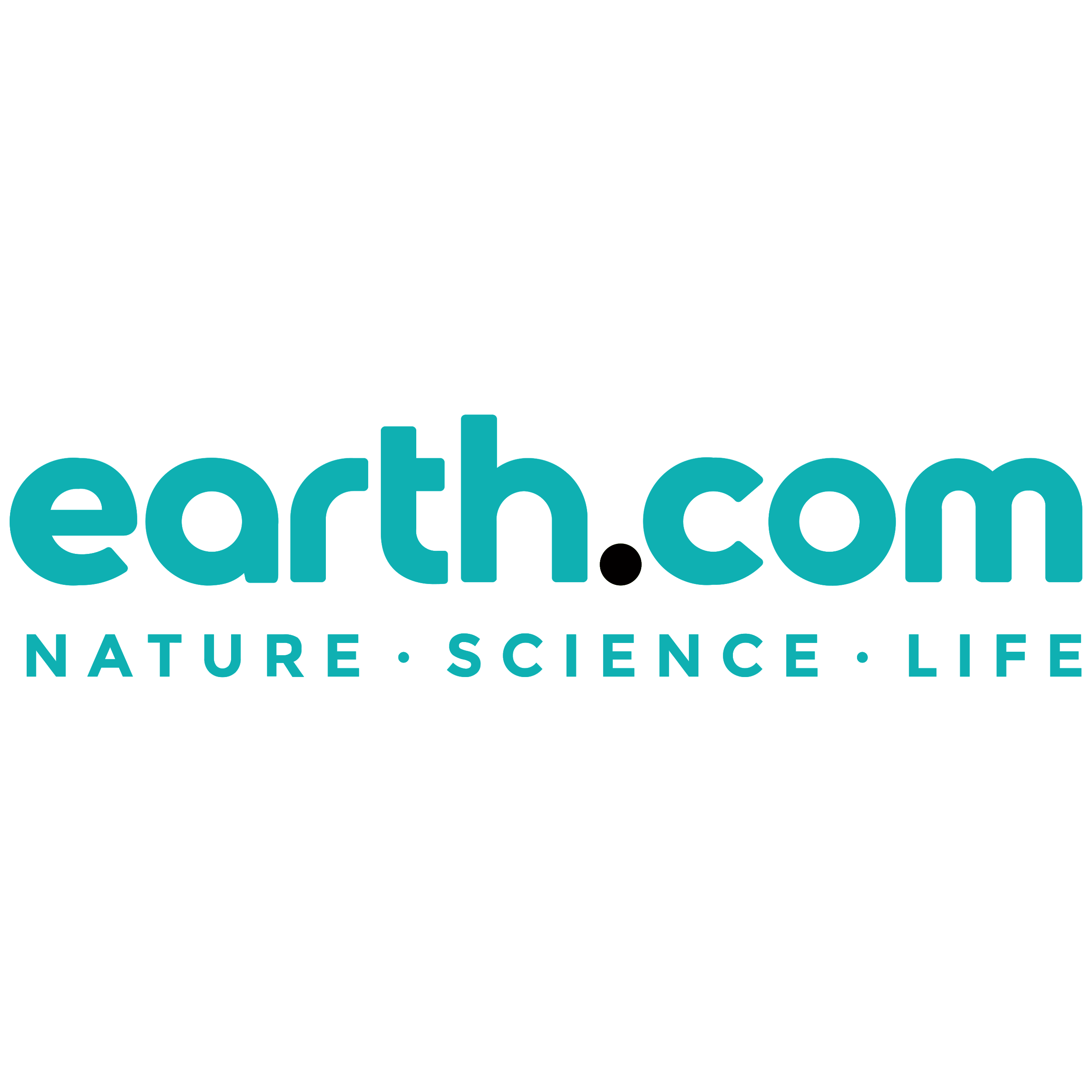 Earth.com White Tagline Logo  Transparent Gallery